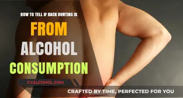 Back Pain and Alcohol: What's the Connection?