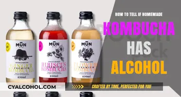 Detect Alcohol in Your Kombucha