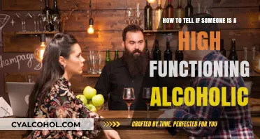 Signs of High-Functioning Alcoholism: What to Watch For