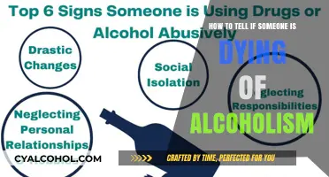 Recognizing Alcoholism's Deadly Signs: What to Watch For