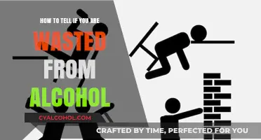 Signs You're Wasted: Alcohol's Red Flags
