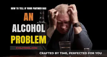 Recognizing Alcoholism in Your Partner