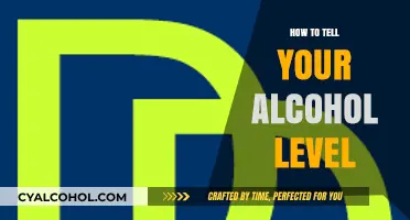 Check Your Alcohol Level: Quick Tips for Safe Drinking Awareness