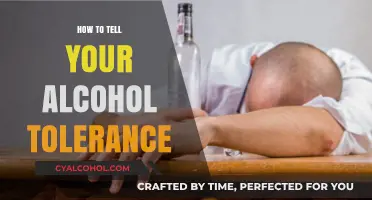 Understanding Your Alcohol Tolerance: Signs, Limits, and Safe Drinking Tips
