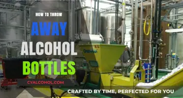 Eco-Friendly Disposal: Safely Throwing Away Alcohol Bottles Responsibly