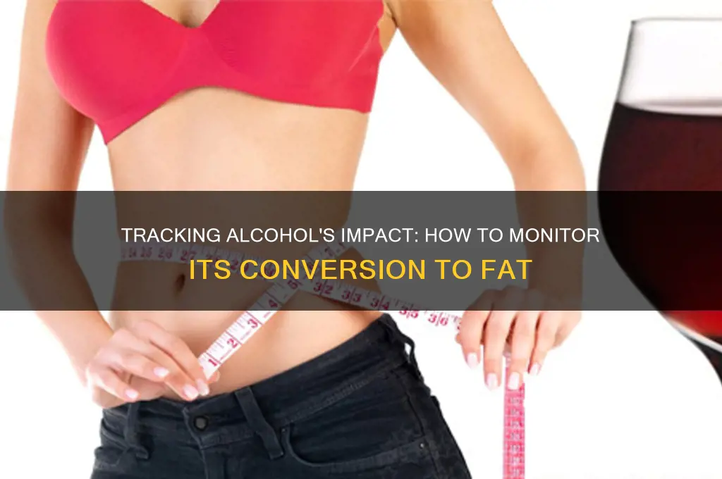 how to track alcohol as fat