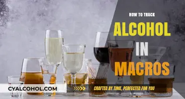 Tracking Alcohol in Your Macros: A Practical Guide for Balanced Nutrition