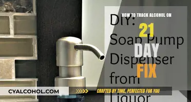 Tracking Alcohol on 21-Day Fix: What You Need to Know