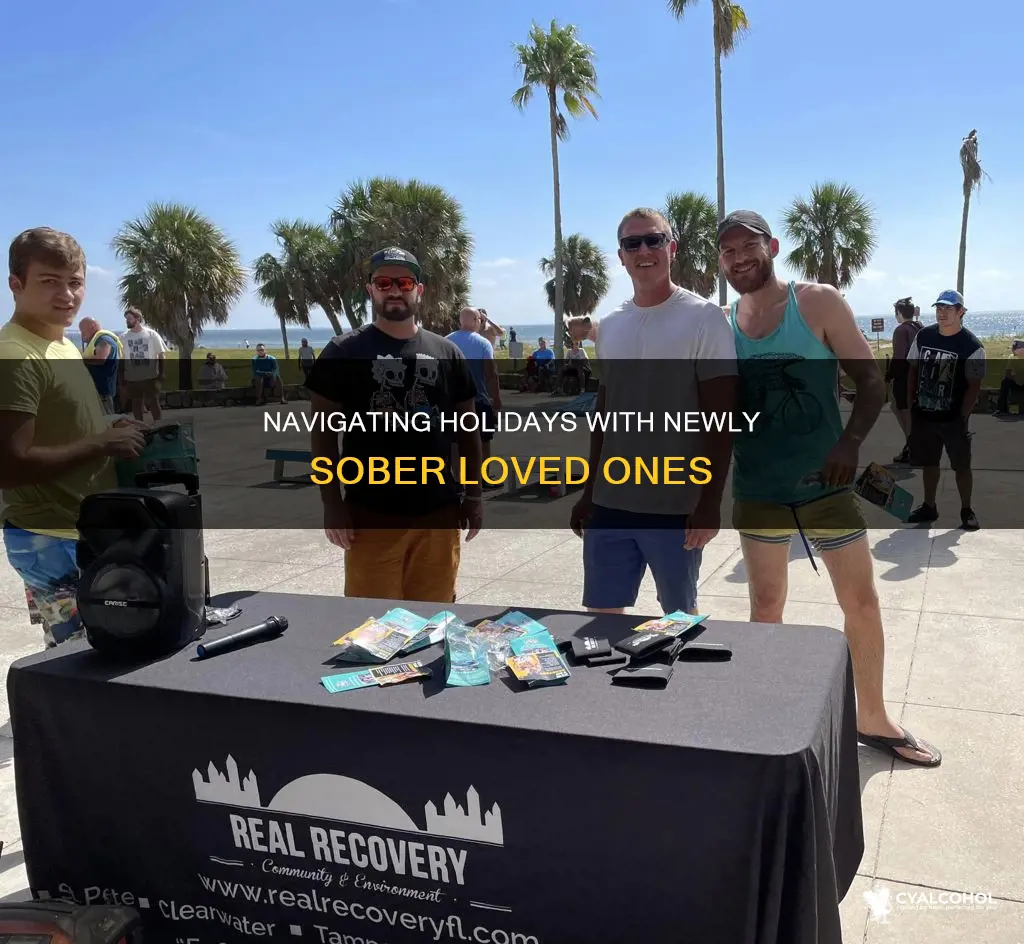 how to treat a newly sober alcoholic on holidsys i