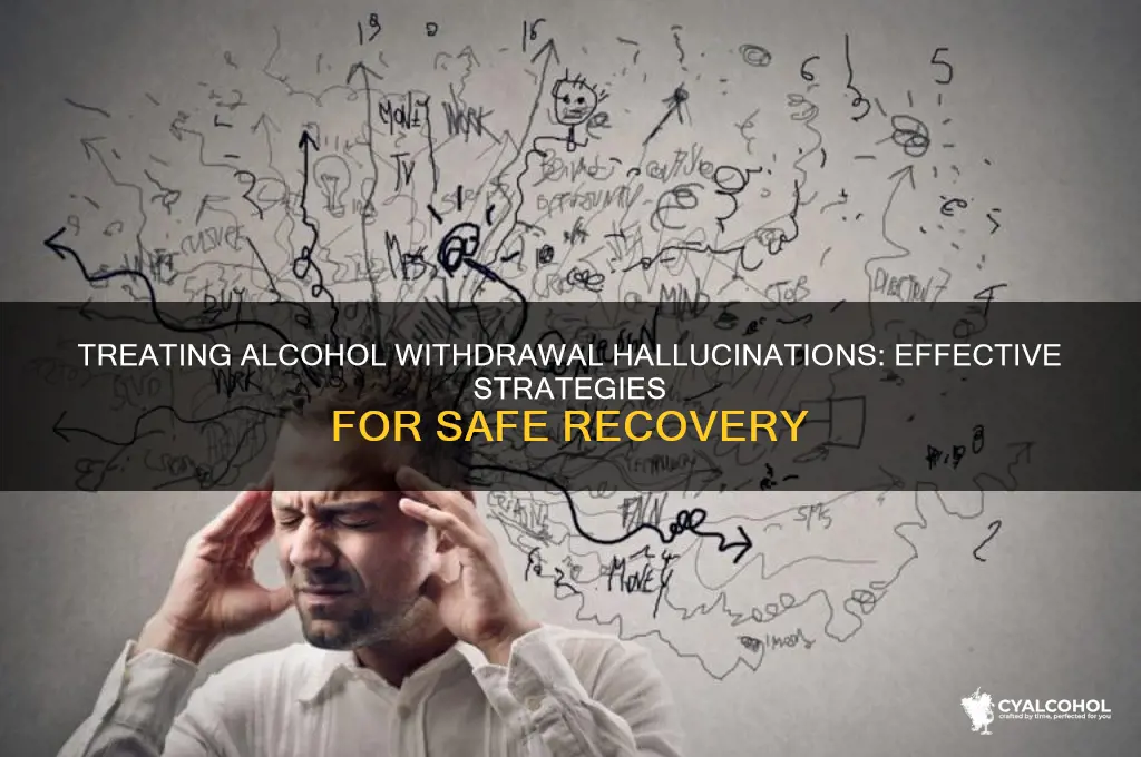 how to treat alcohol withdrawal hallucinations