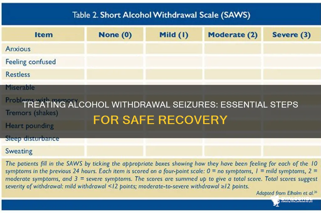 how to treat alcohol withdrawal seizures