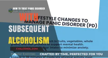 Treating Panic Disorder and Alcoholism: A Dual Approach