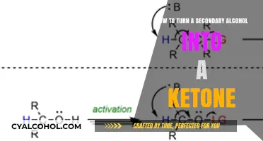 Converting Secondary Alcohols to Ketones: A Comprehensive Guide