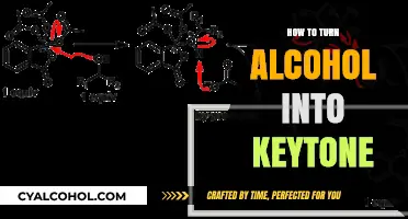 Transforming Alcohol into Ketones: A Step-by-Step Chemical Process Guide
