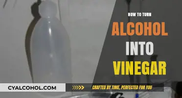 Transforming Alcohol into Vinegar: A Simple Fermentation Guide