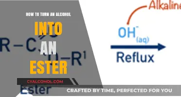 Transforming Alcohol: Crafting Esters with a Twist