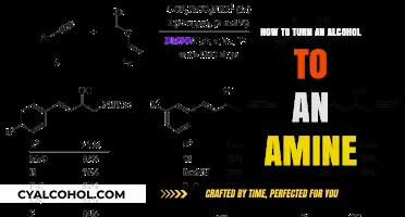 Transforming Alcohols to Amines: A Comprehensive Guide