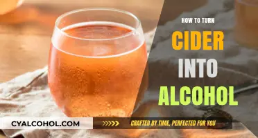 Fermenting Cider: Simple Steps to Craft Your Own Alcoholic Beverage