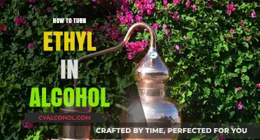 Transforming Ethyl: A Step-by-Step Guide to Making Alcohol at Home
