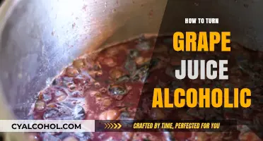 Fermenting Grape Juice: Simple Steps to Make Alcoholic Beverage at Home