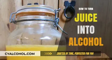 Fermenting Juice: A Simple Guide to Making Homemade Alcoholic Beverages