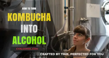 Brewing Boozy Kombucha: Simple Steps to Ferment Alcohol at Home