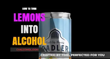 Sour to Spirited: Crafting Alcohol from Lemons at Home