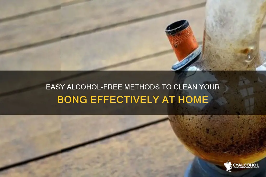 how to wash bong without alcohol