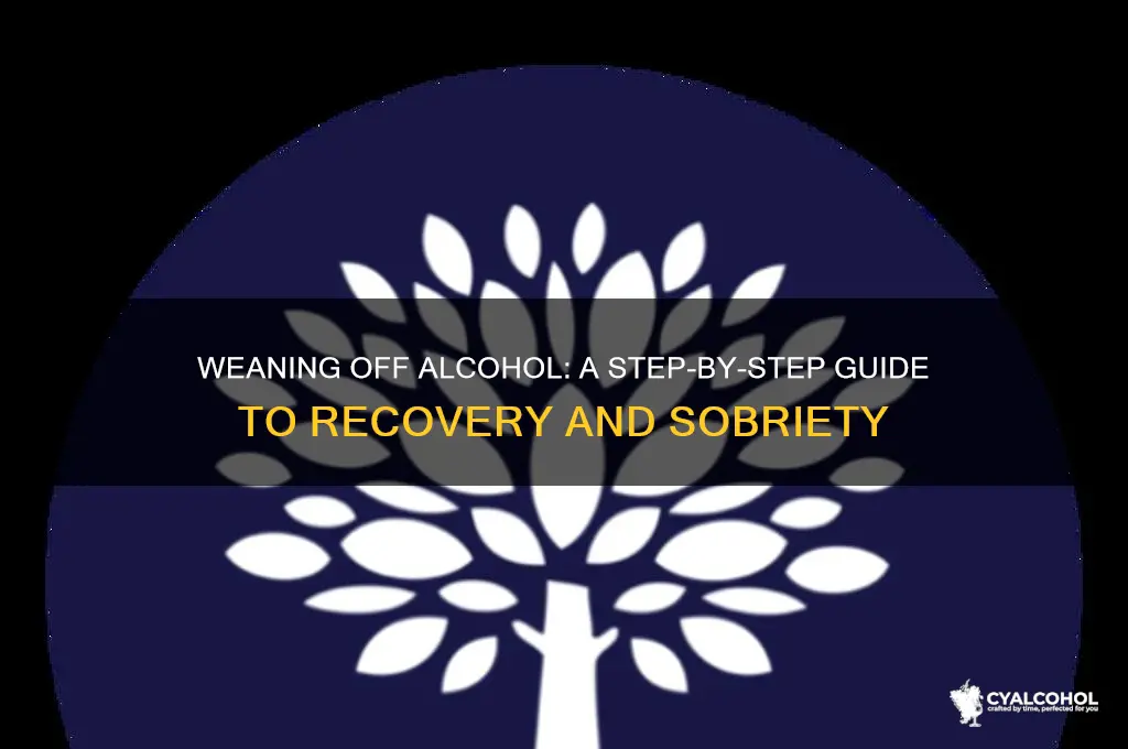 how to wean alcohol