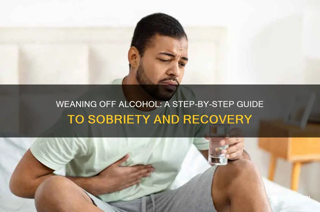 how to wean of alcohol