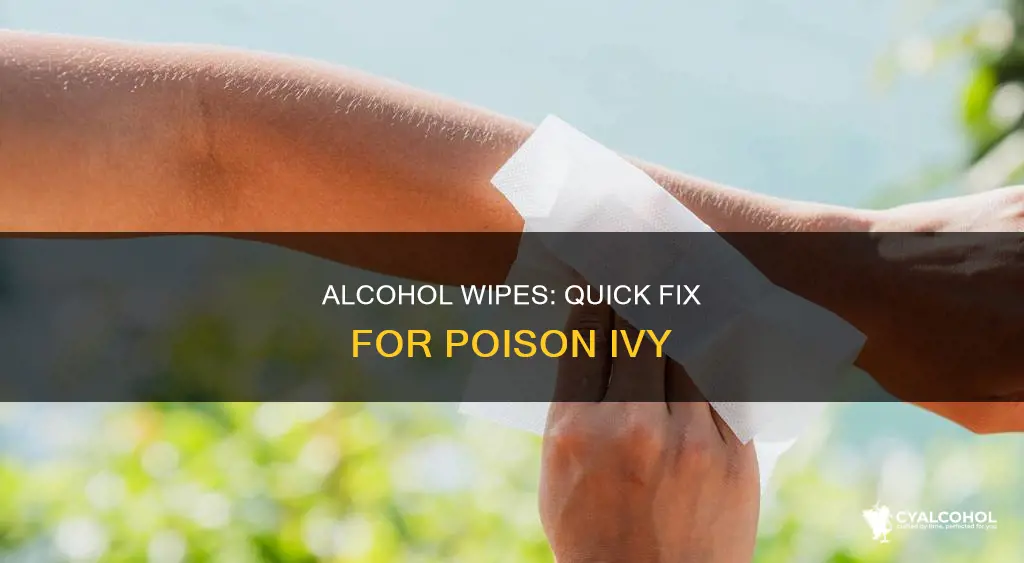 how to wipe off poison ivy with a alcohol wipe
