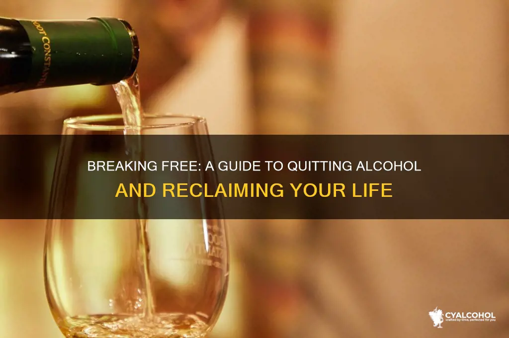 how to wuit alcohol