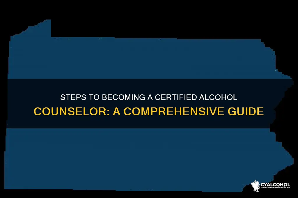how tp become an alcohol counselor