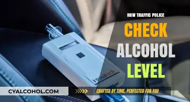 Breathalyzer Basics: How Traffic Police Check Alcohol Levels on the Road