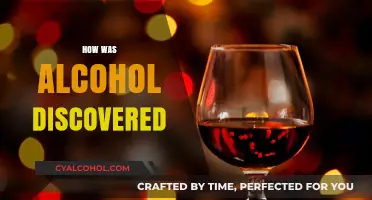 Unveiling the Ancient Origins of Alcohol: A Historical Journey