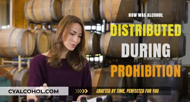 Bootleggers, Speakeasies, and Secrets: Alcohol Distribution During Prohibition