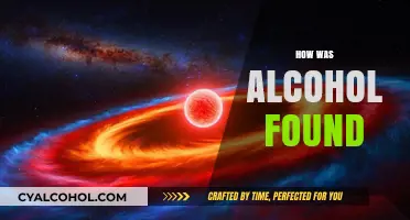 The Surprising Origins of Alcohol: A Historical Discovery Journey