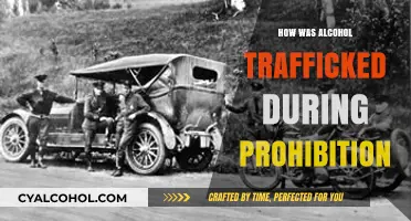 Bootleggers' Secrets: How Alcohol Flowed Illegally During Prohibition Era