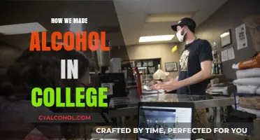 Brewing Memories: Our College DIY Alcohol Adventures Unveiled