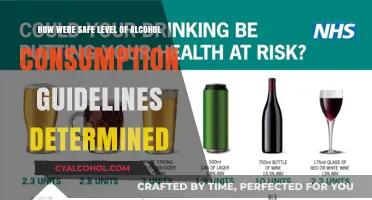 Safe Drinking: How Much is Too Much?