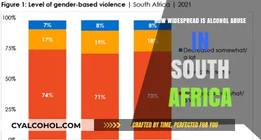 Alcohol Abuse in South Africa: A Widespread Concern