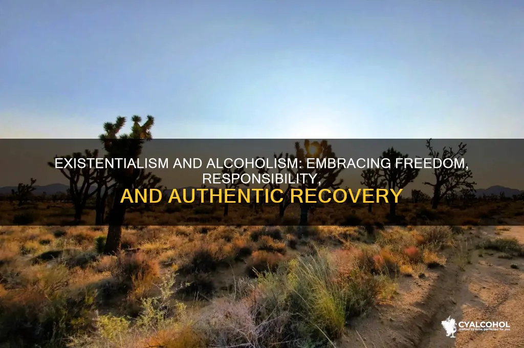 how would an existentialist view alcoholism