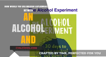 Alcohol vs. Ketone: Experimental Identification Techniques
