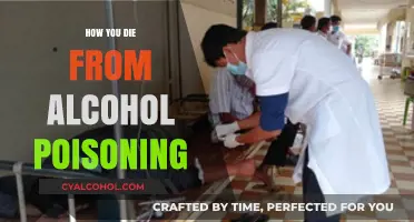 Alcohol Poisoning: Understanding the Deadly Consequences of Overconsumption