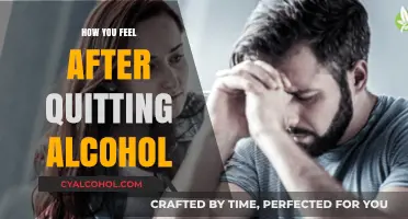 Life After Alcohol: Embracing Clarity, Energy, and Emotional Renewal