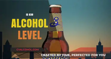 Understanding the Effects and Risks of a 0.38% Alcohol Level
