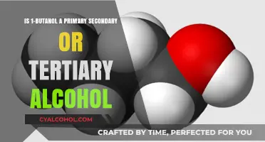 What Type of Alcohol is 1-Butanol?