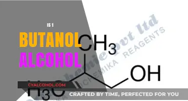 Understanding 1-Butanol: Is It Classified as an Alcohol?
