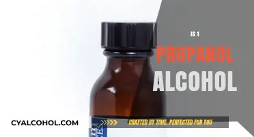 Understanding 1-Propanol: Is It Classified as an Alcohol?