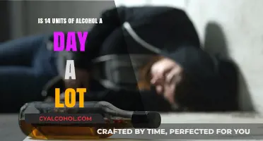 Alcohol Overdose: 14 Units a Day is Too Much